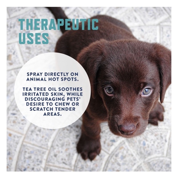 99% FULL Rocco & Roxie No Chew Extreme Bitter Spray, 8 fl oz - Picture 4 of 8